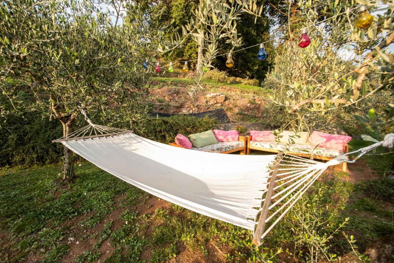 בורגו א מוצאנו Casetta Di Butia, Gelsomino Apartment מראה חיצוני תמונה