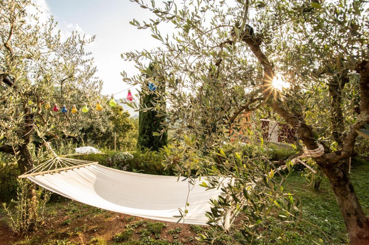 בורגו א מוצאנו Casetta Di Butia, Gelsomino Apartment מראה חיצוני תמונה